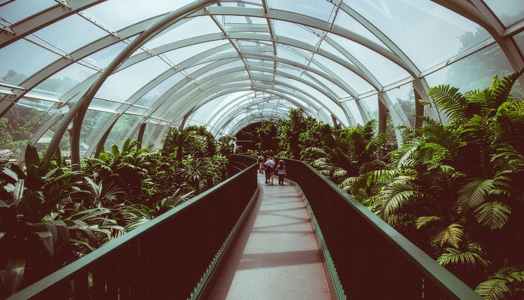 Montreal Biodome
